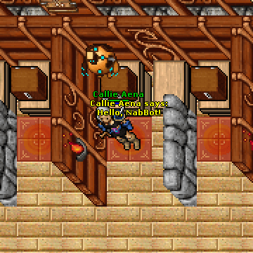 Callie Aena with Mini NabBot