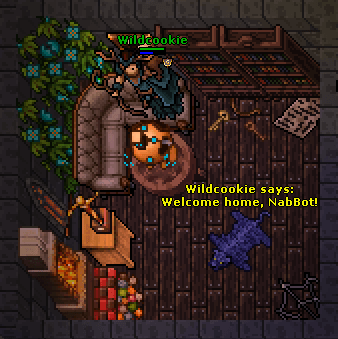 Wildcookie with Mini NabBot